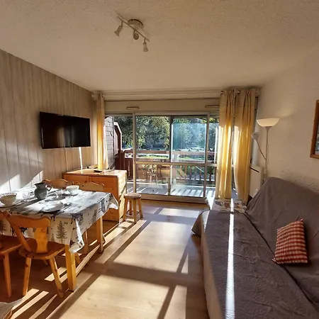 Apartment Au Pied Des Pistes Avec Balcon Et Animaux Acceptes Les Deux Alpes
