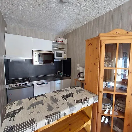 Au Pied Des Pistes Avec Balcon Et Animaux Acceptes - Fr-1-516-209 *