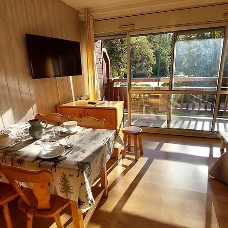 Au Pied Des Pistes Avec Balcon Et Animaux Acceptes *