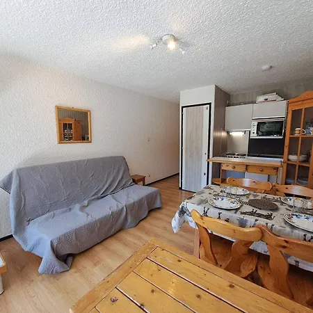 Au Pied Des Pistes Avec Balcon Et Animaux Acceptes Apartment *