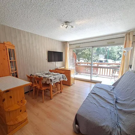 Apartment Au Pied Des Pistes Avec Balcon Et Animaux Acceptes *