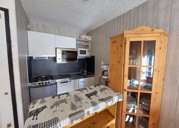 Au Pied Des Pistes Avec Balcon Et Animaux Acceptes - Fr-1-516-209 *