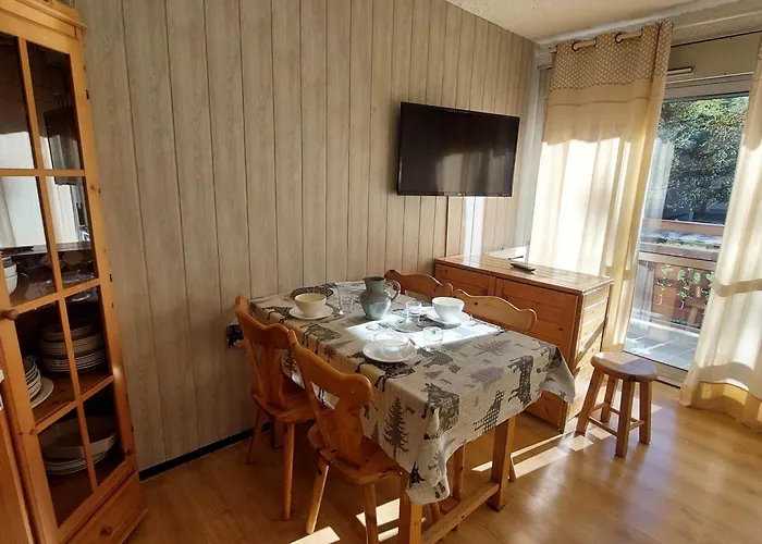 Au Pied Des Pistes Avec Balcon Et Animaux Acceptes - Fr-1-516-209