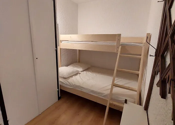 Au Pied Des Pistes Avec Balcon Et Animaux Acceptes - Fr-1-516-209 *