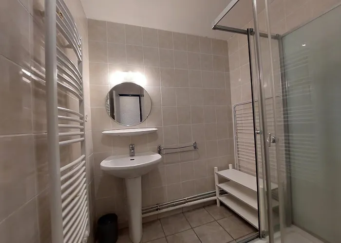 Au Pied Des Pistes Avec Balcon Et Animaux Acceptes - Fr-1-516-209 * Les Deux Alpes