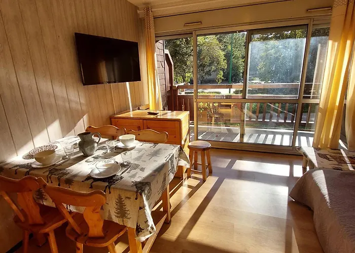 Au Pied Des Pistes Avec Balcon Et Animaux Acceptes - Fr-1-516-209 *