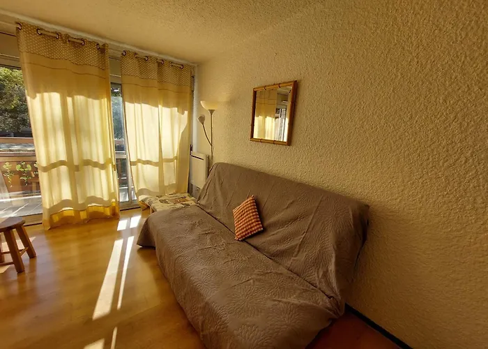 Au Pied Des Pistes Avec Balcon Et Animaux Acceptes - Fr-1-516-209 Les Deux Alpes